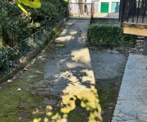 Apartment Casa Mimose